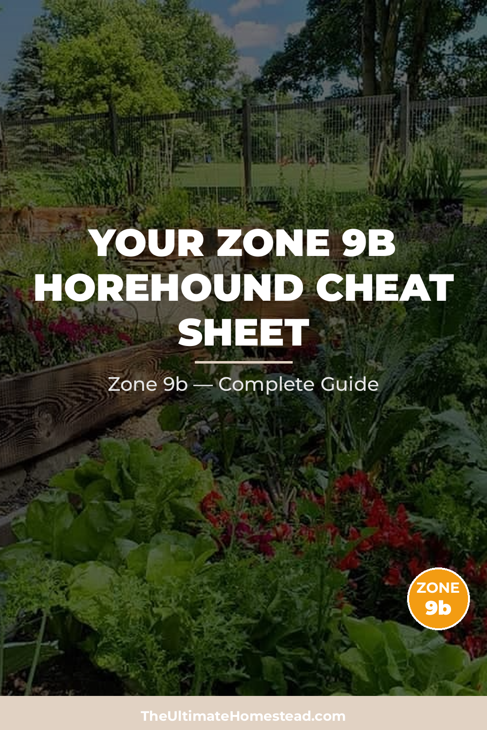 When to Plant Horehound in Zone 9b