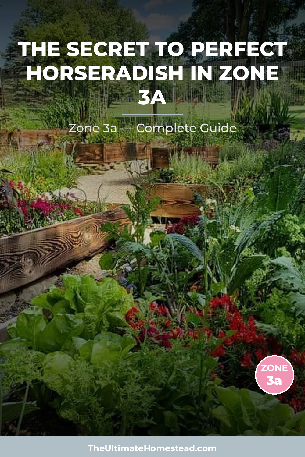 When to Plant Horseradish in Zone 3a