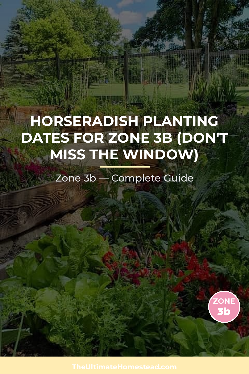 When to Plant Horseradish in Zone 3b