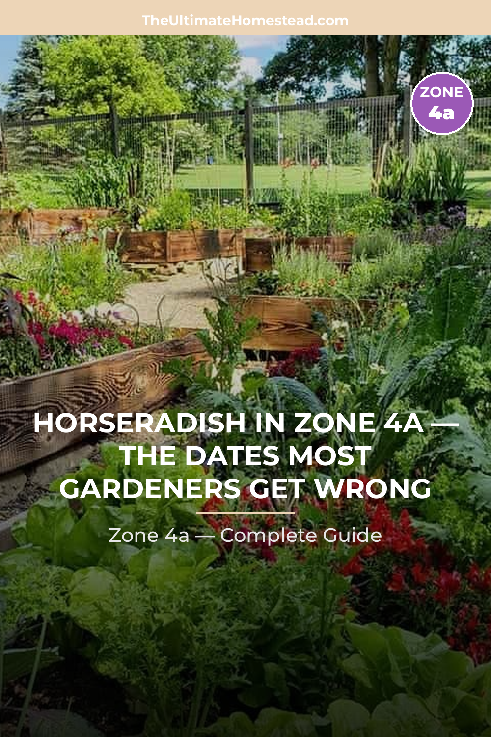 When to Plant Horseradish in Zone 4a