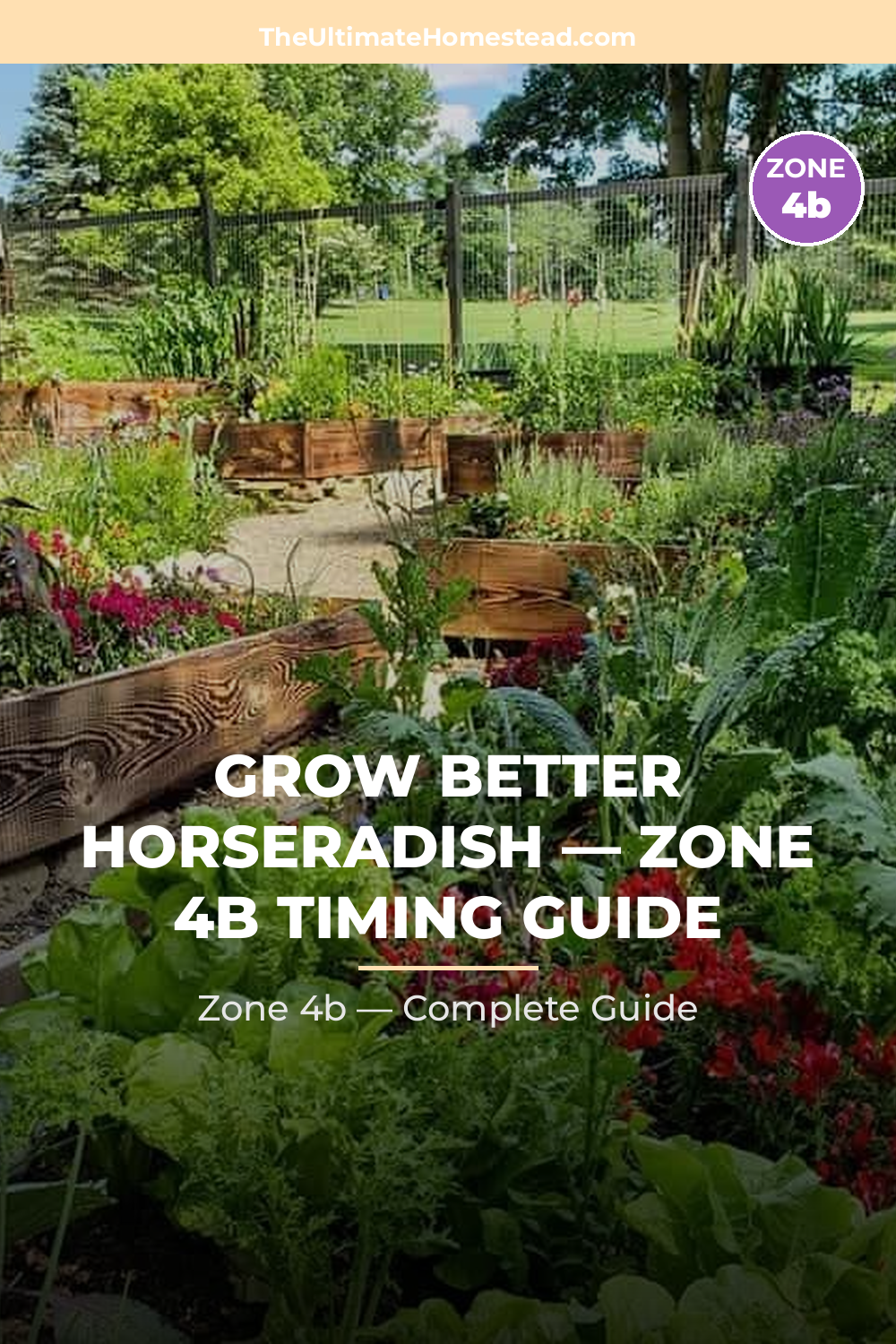 When to Plant Horseradish in Zone 4b