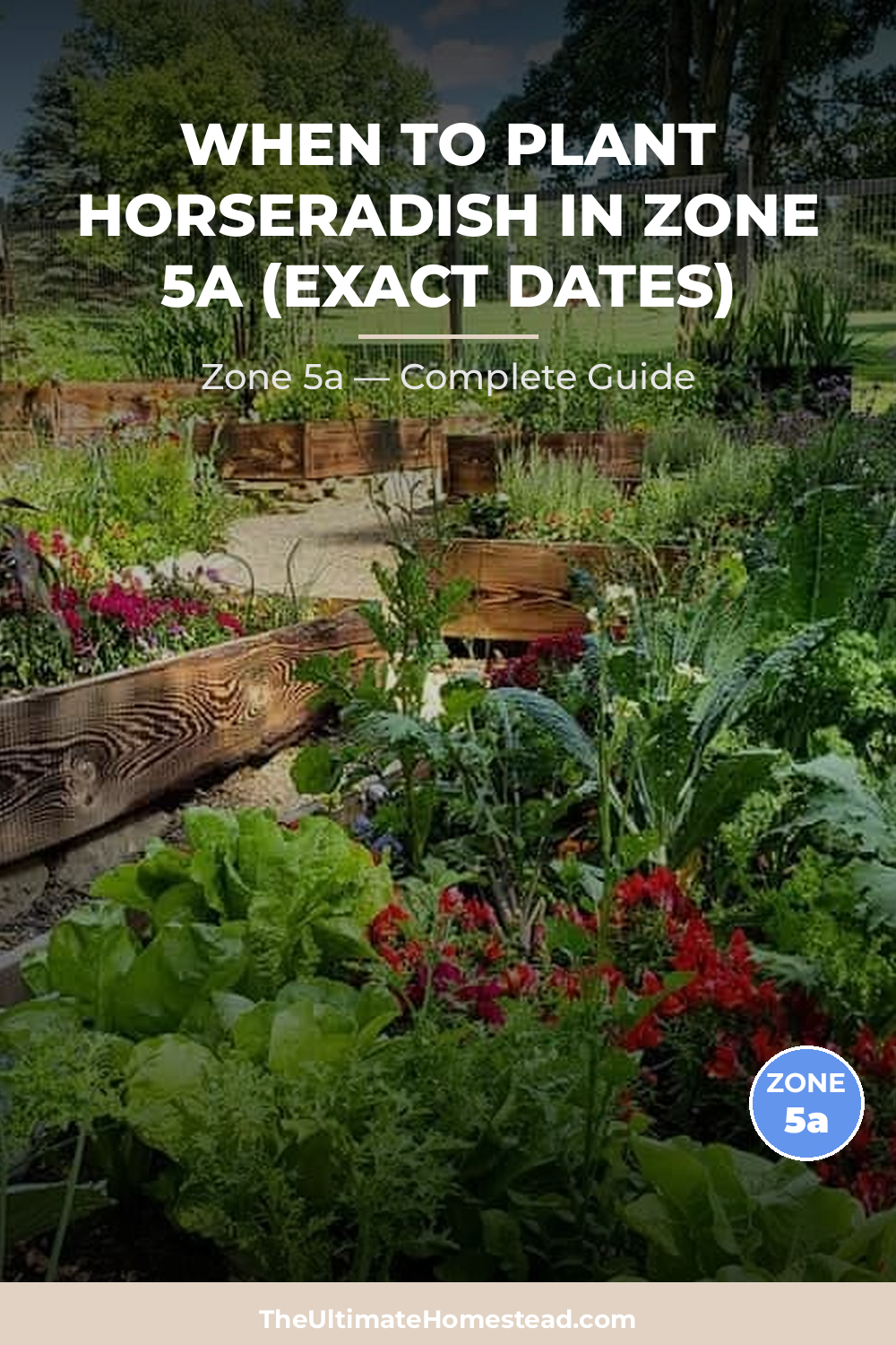 When to Plant Horseradish in Zone 5a