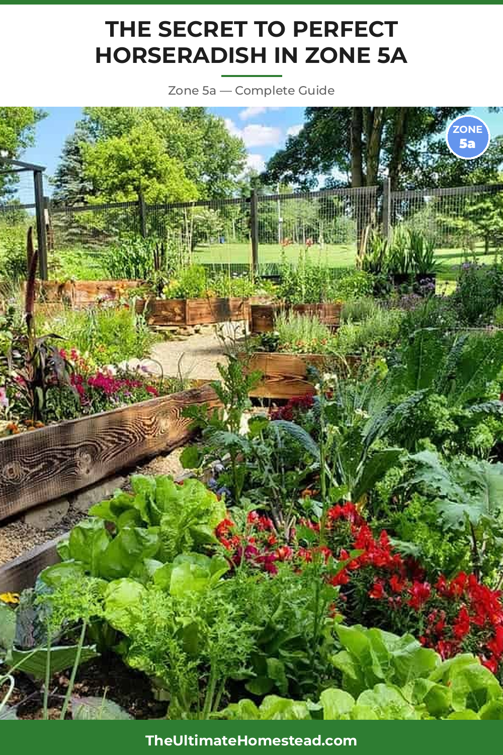 When to Plant Horseradish in Zone 5a