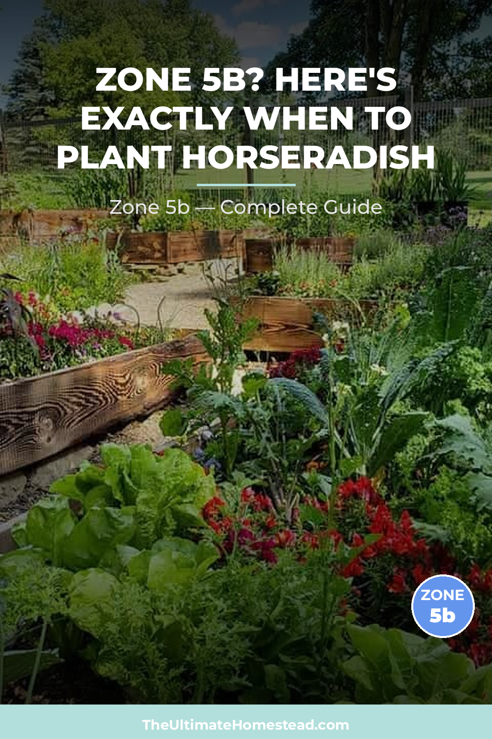 When to Plant Horseradish in Zone 5b