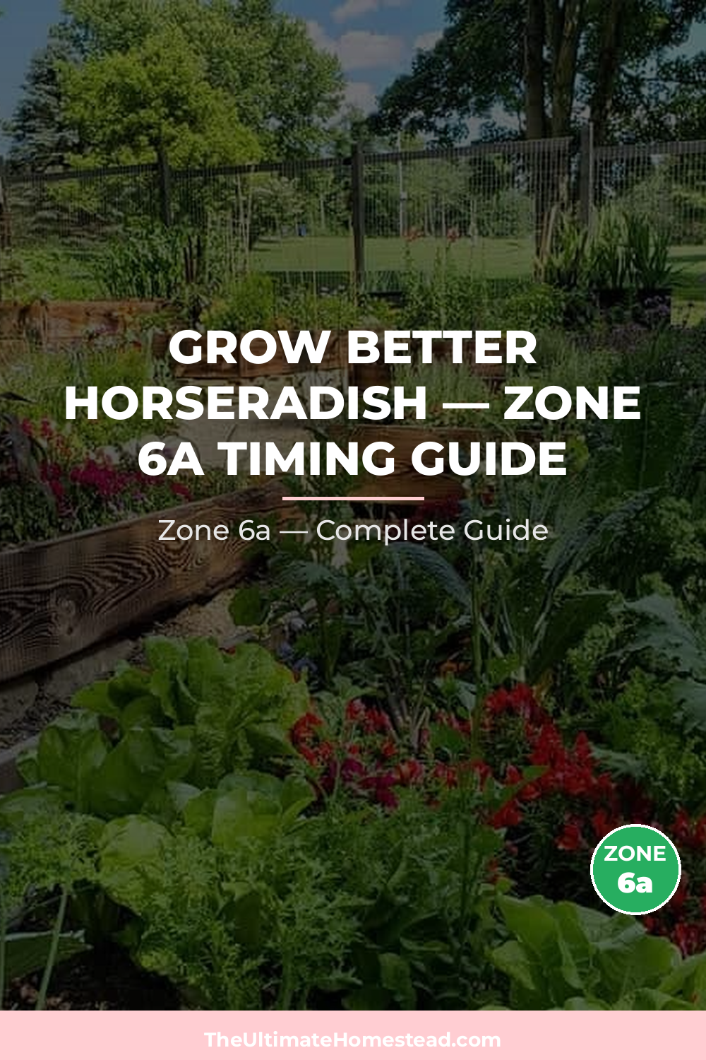 When to Plant Horseradish in Zone 6a