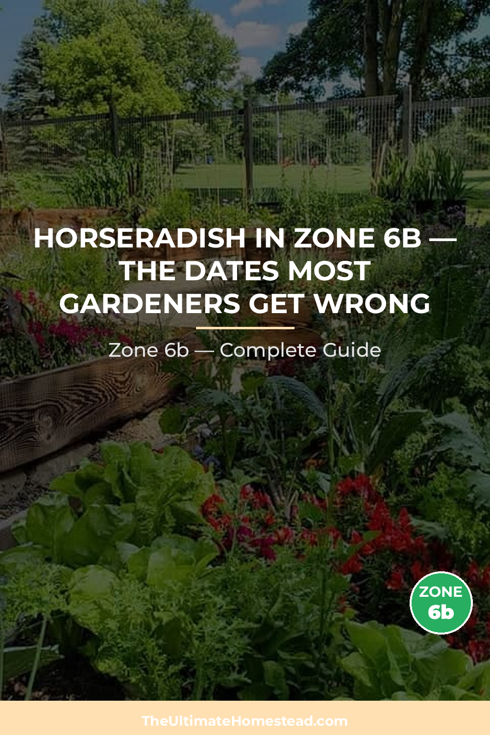 When to Plant Horseradish in Zone 6b