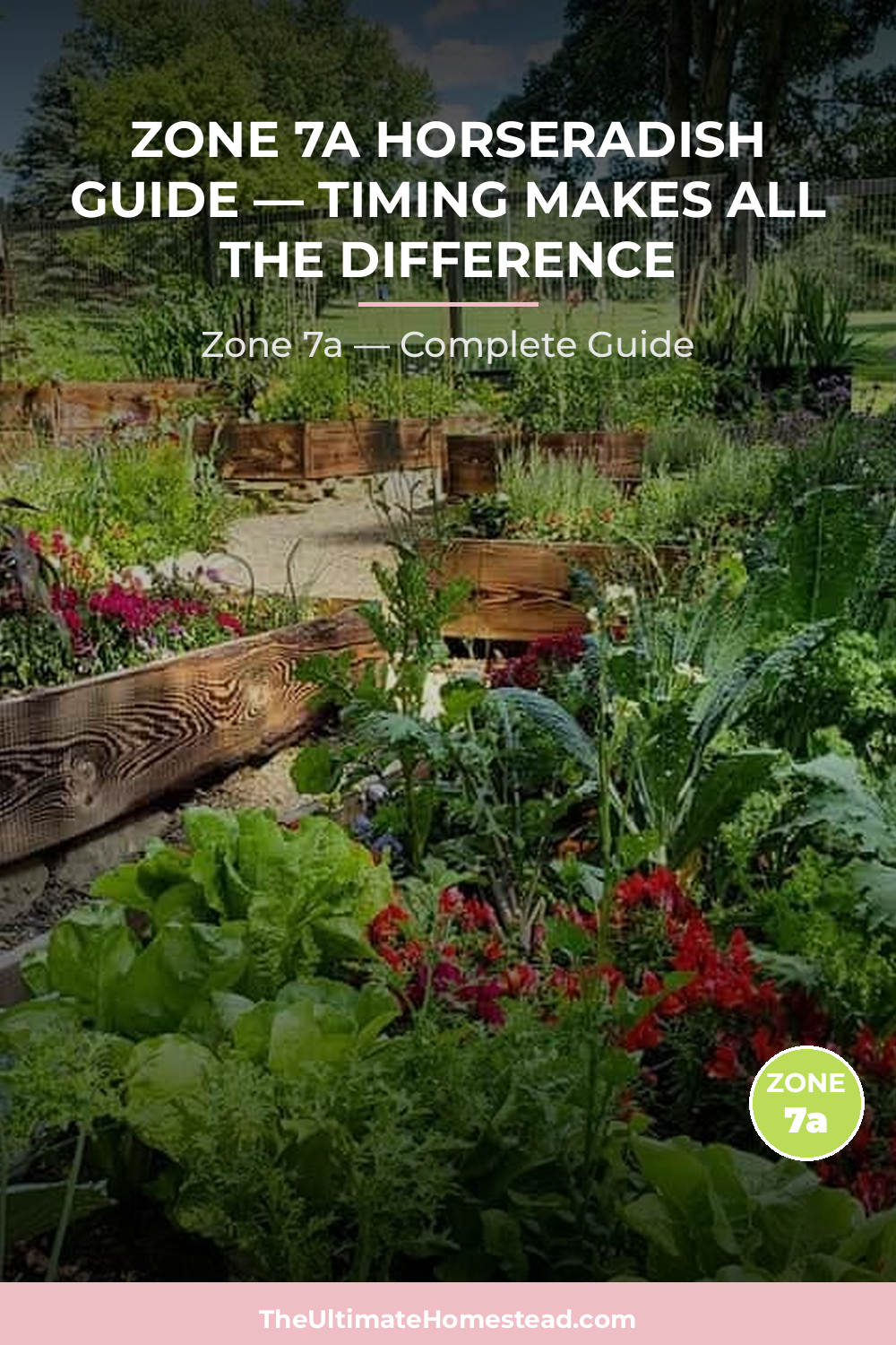 When to Plant Horseradish in Zone 7a