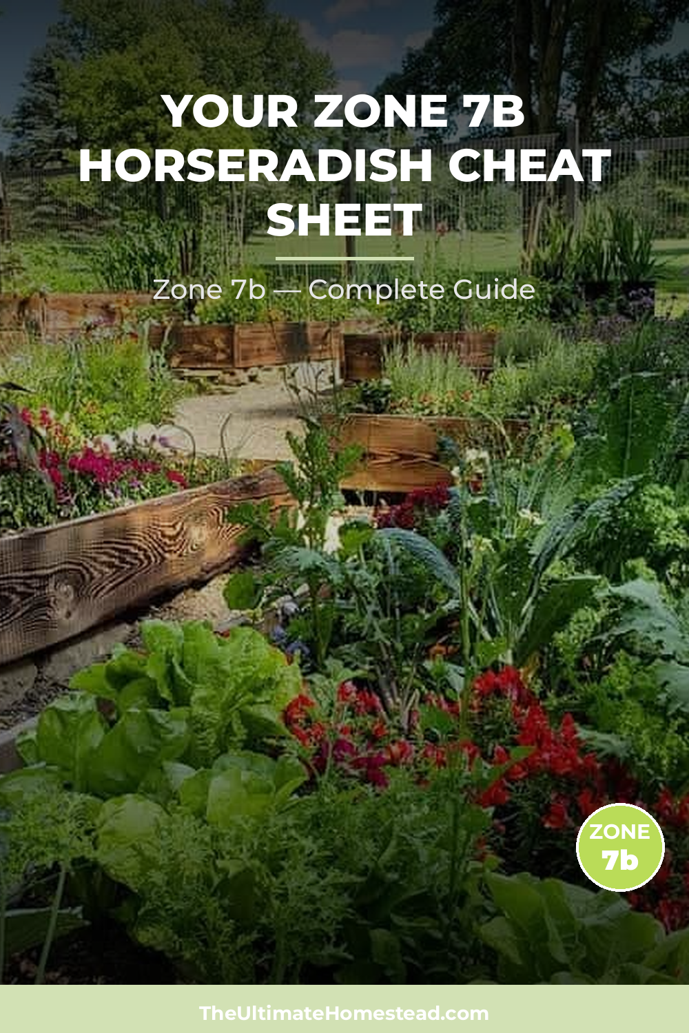 When to Plant Horseradish in Zone 7b