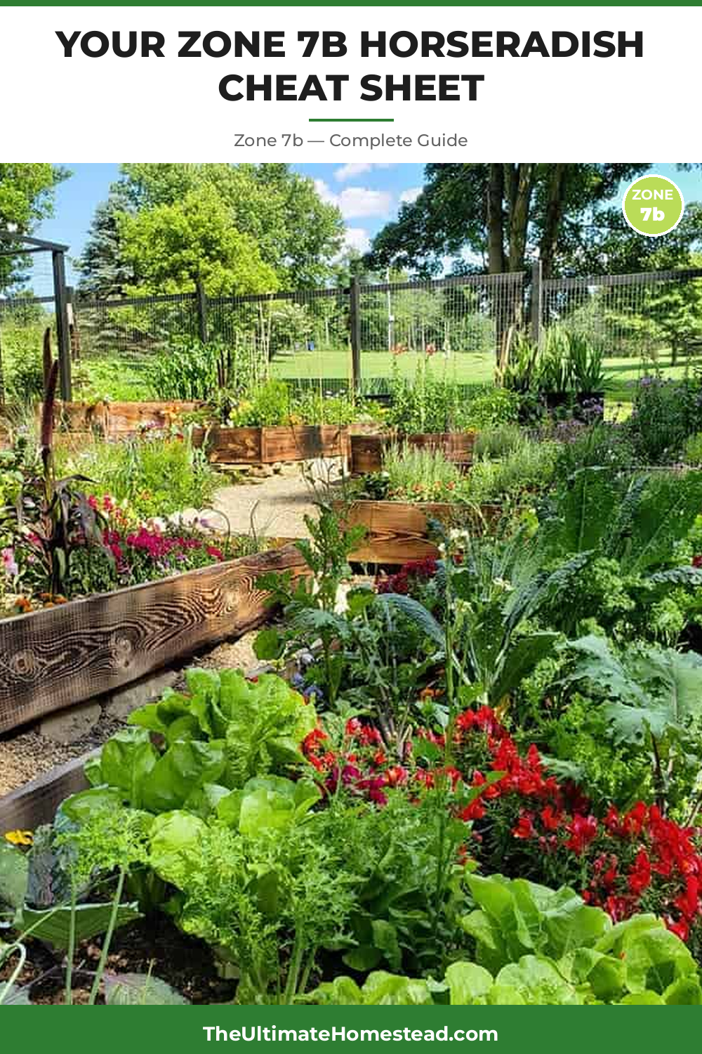 When to Plant Horseradish in Zone 7b