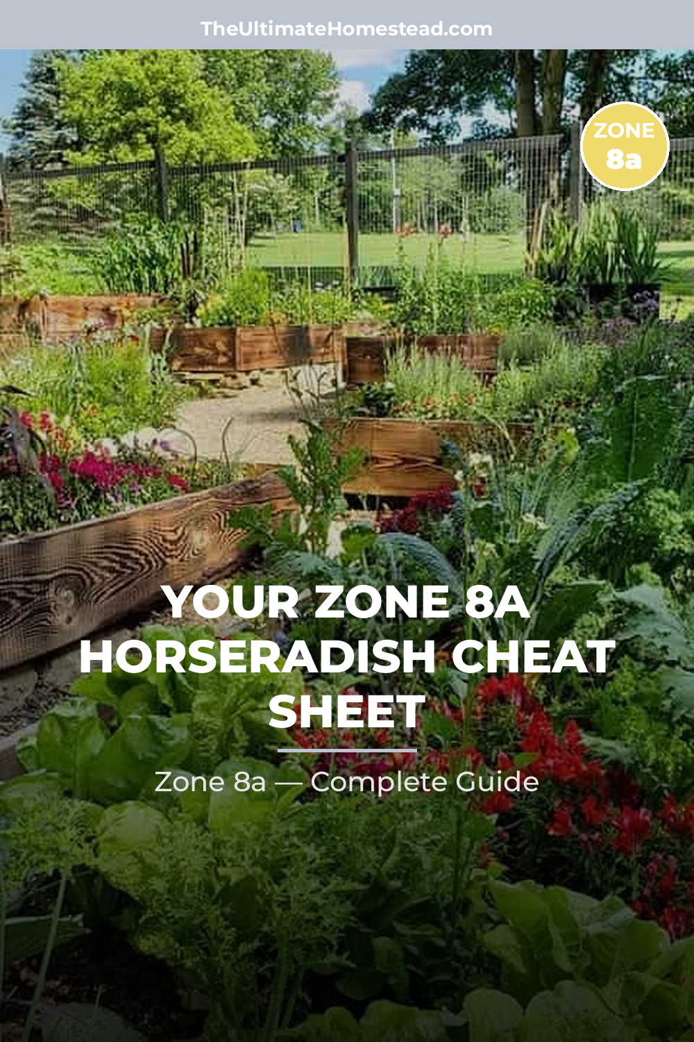 When to Plant Horseradish in Zone 8a