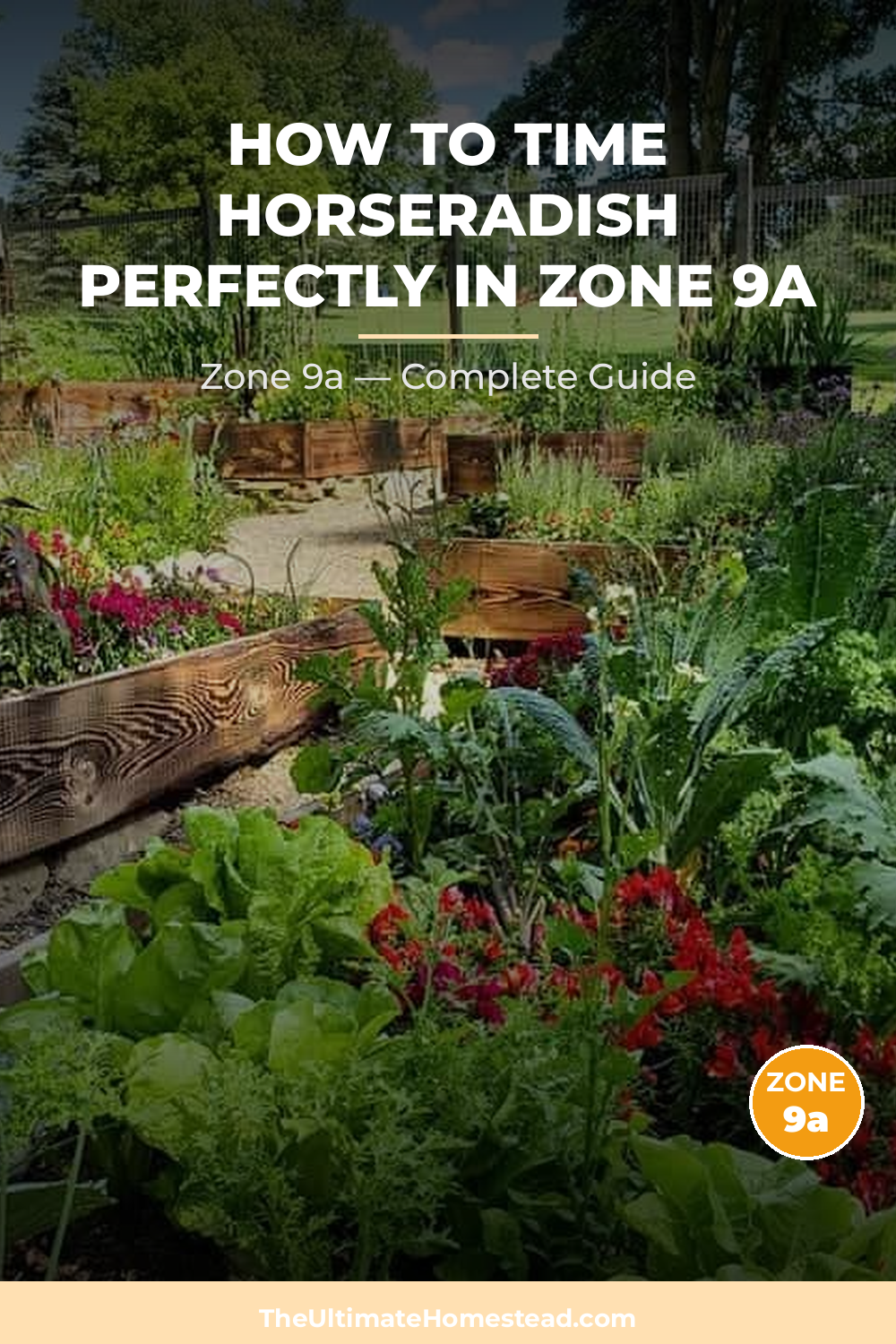 When to Plant Horseradish in Zone 9a