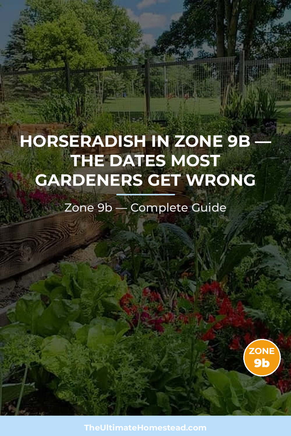 When to Plant Horseradish in Zone 9b