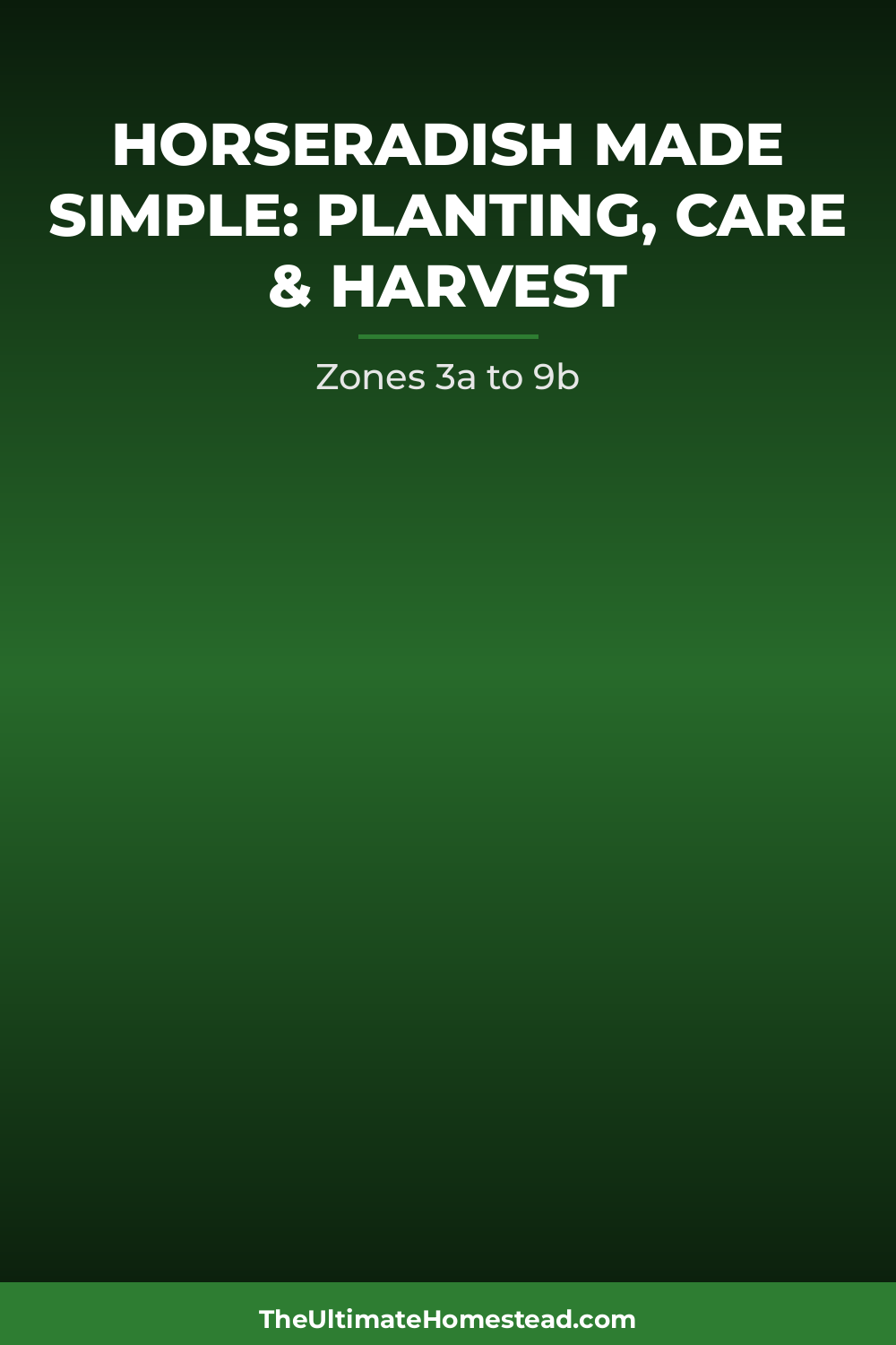 Horseradish Planting Guide