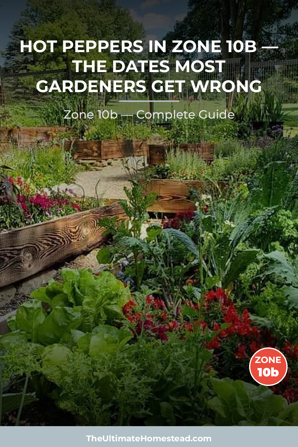 When to Plant Hot Peppers in Zone 10b