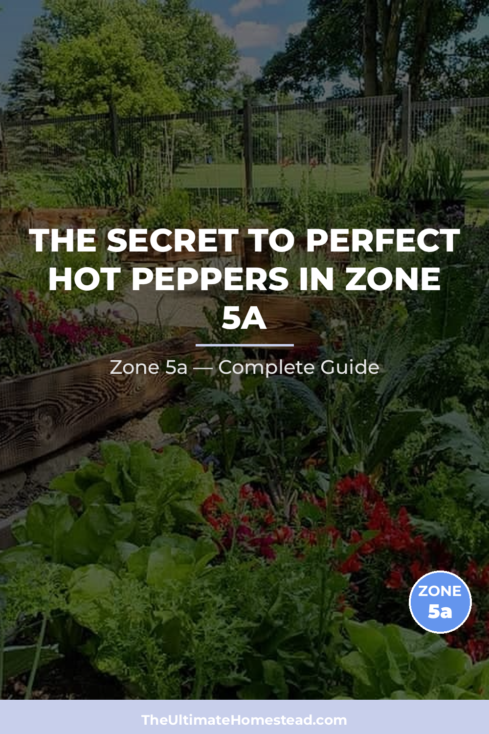 When to Plant Hot Peppers in Zone 5a