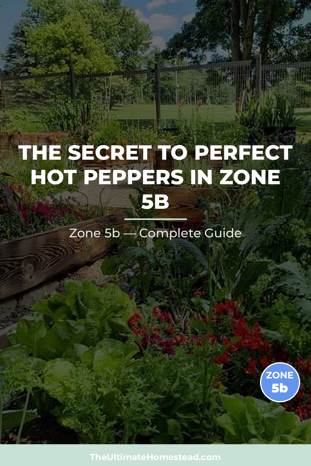When to Plant Hot Peppers in Zone 5b
