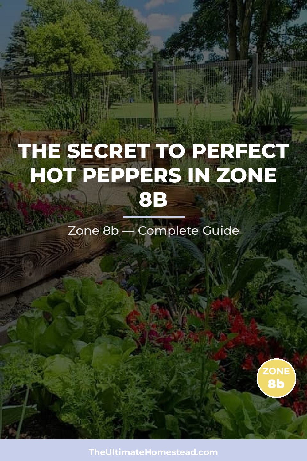 When to Plant Hot Peppers in Zone 8b