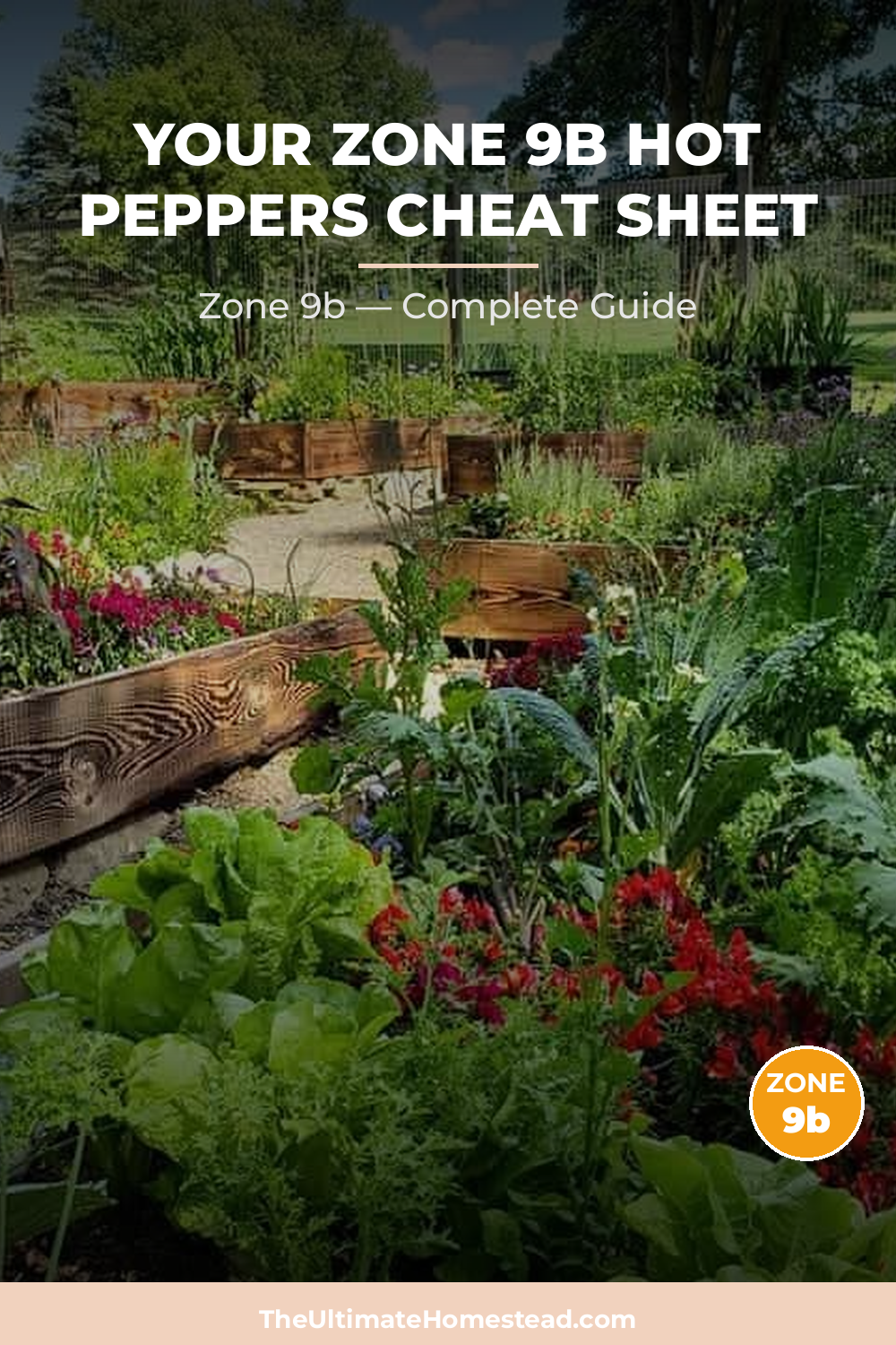 When to Plant Hot Peppers in Zone 9b
