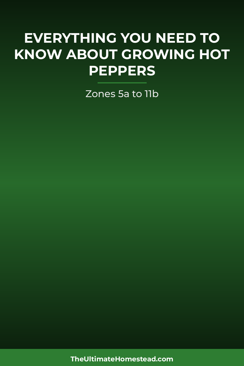 Hot Peppers Planting Guide