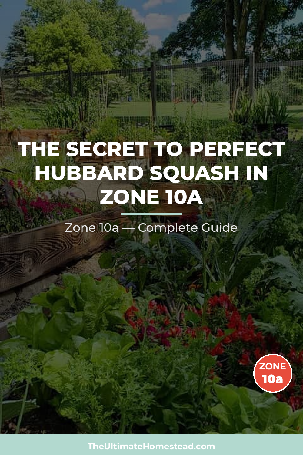 When to Plant Hubbard Squash in Zone 10a