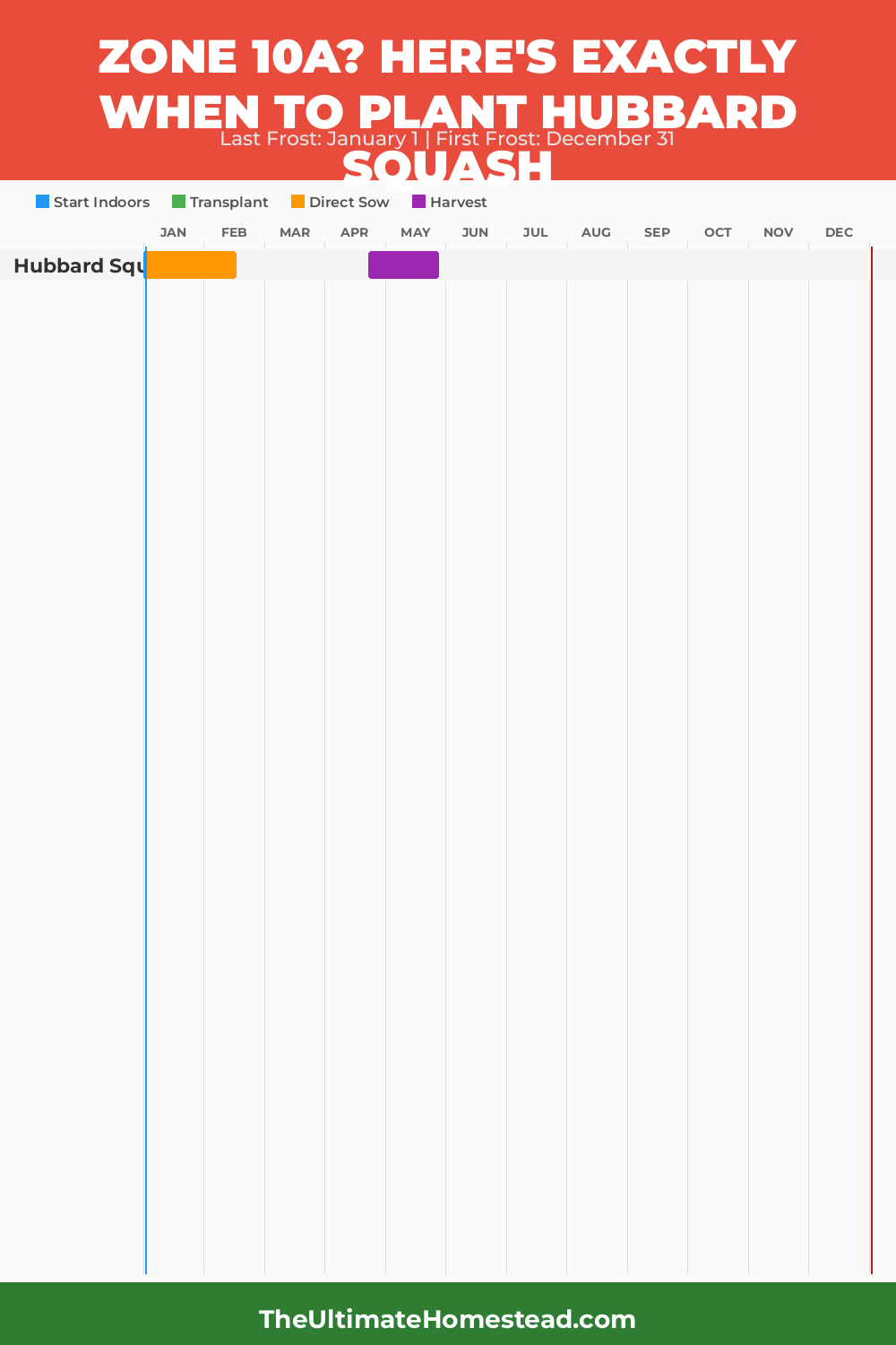 When to Plant Hubbard Squash in Zone 10a