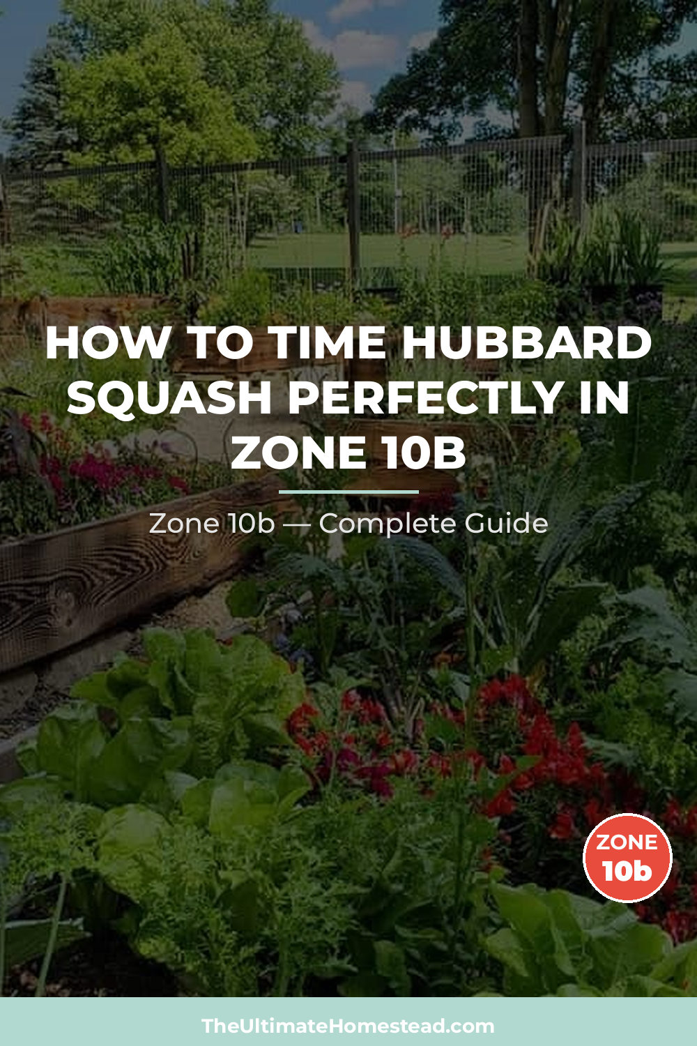 When to Plant Hubbard Squash in Zone 10b