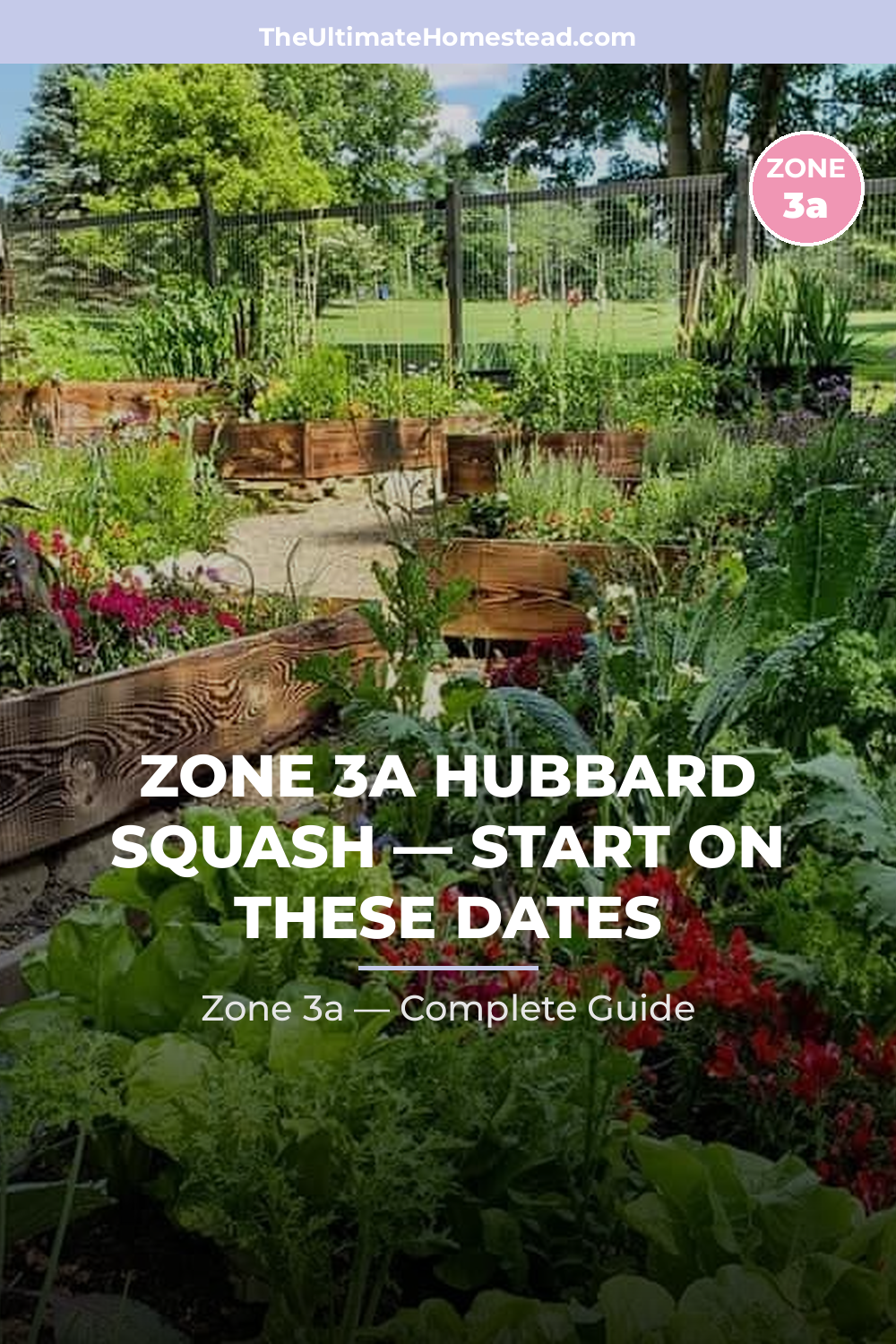 When to Plant Hubbard Squash in Zone 3a