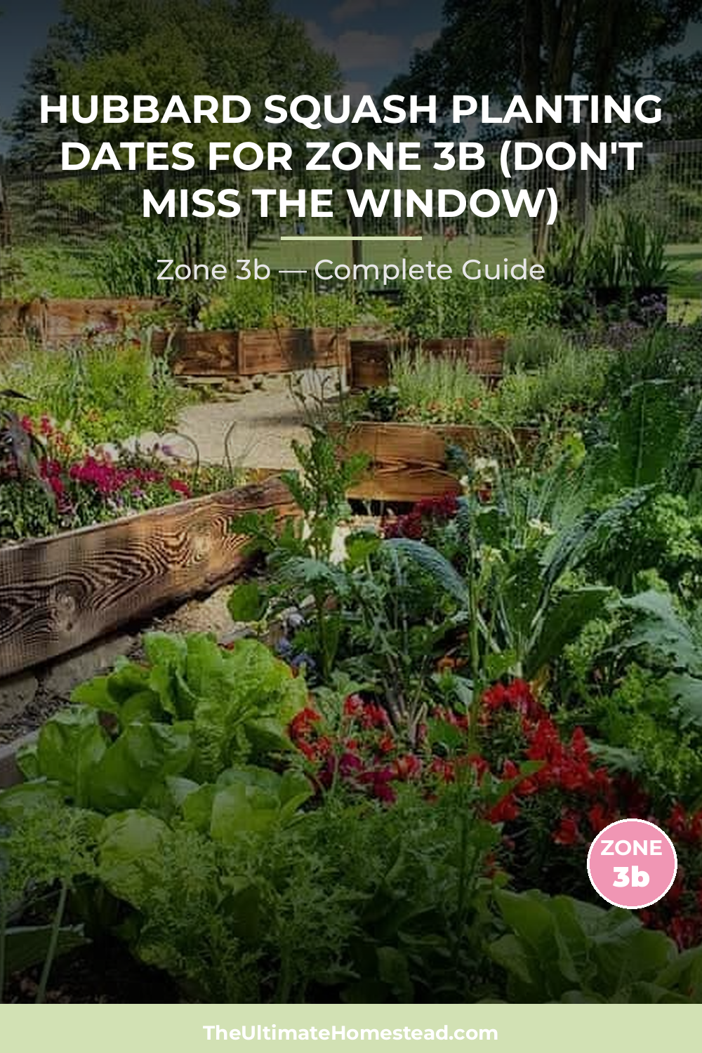 When to Plant Hubbard Squash in Zone 3b