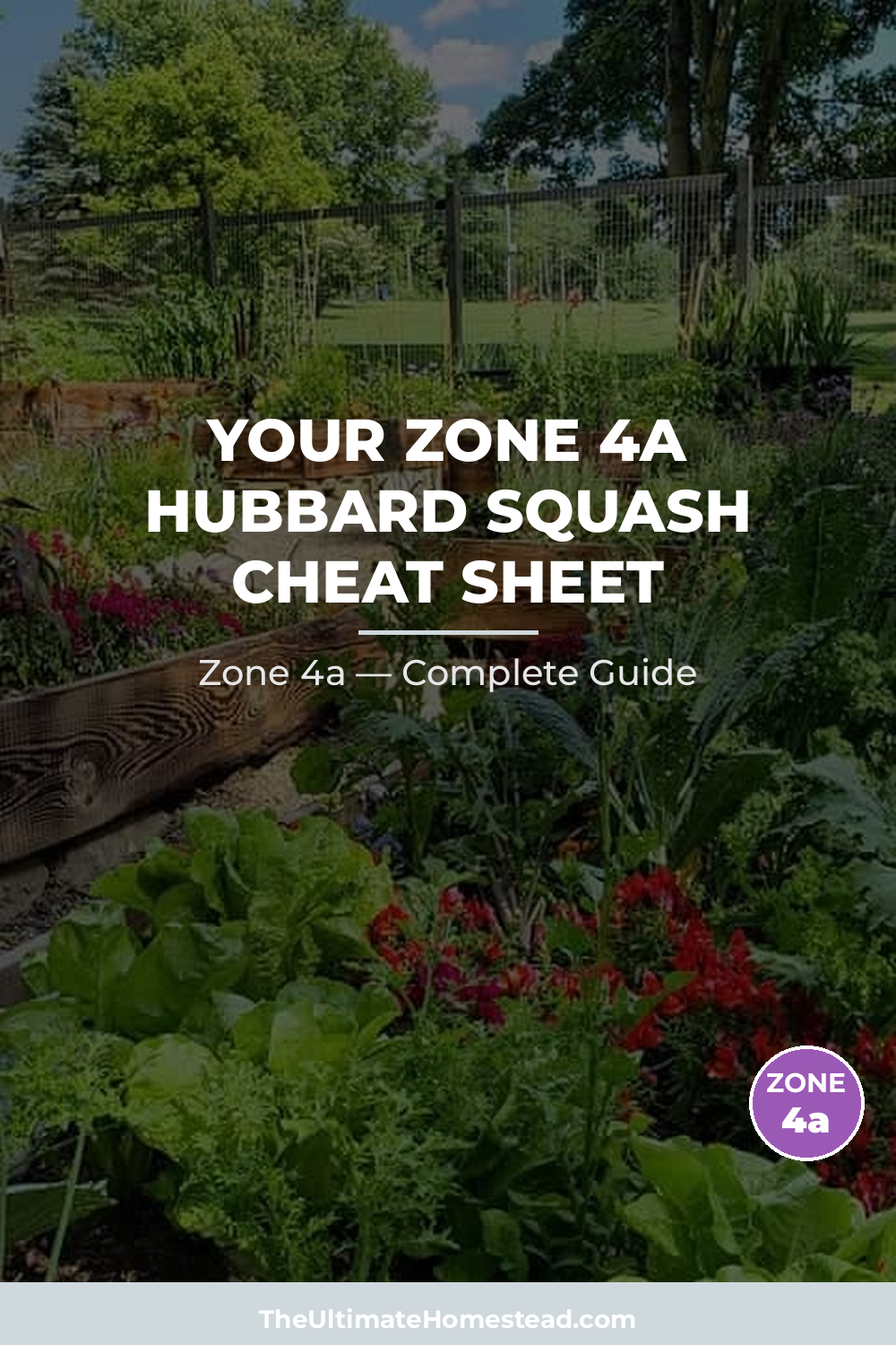 When to Plant Hubbard Squash in Zone 4a
