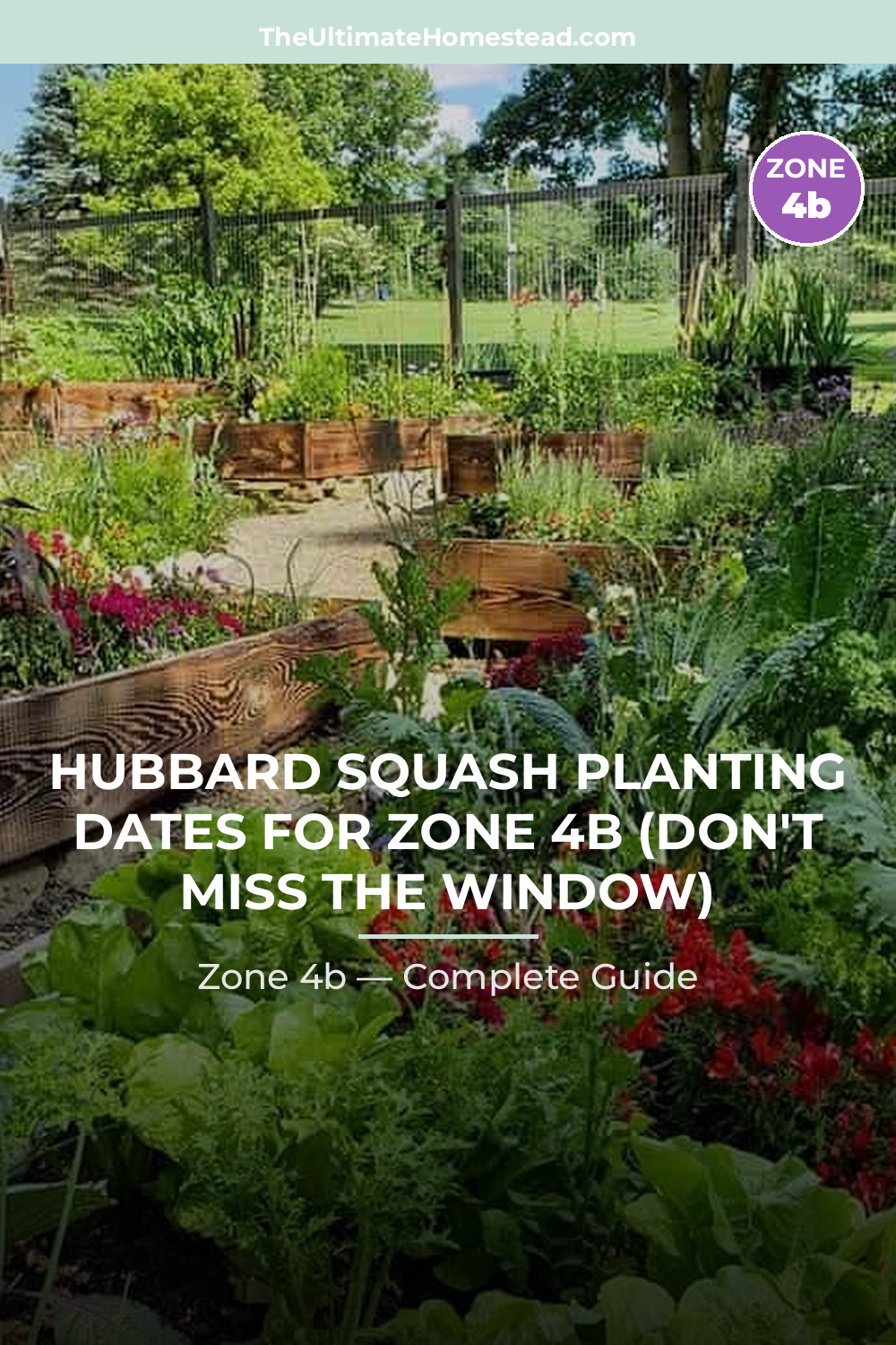 When to Plant Hubbard Squash in Zone 4b