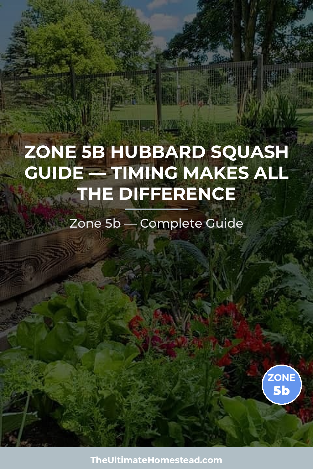When to Plant Hubbard Squash in Zone 5b