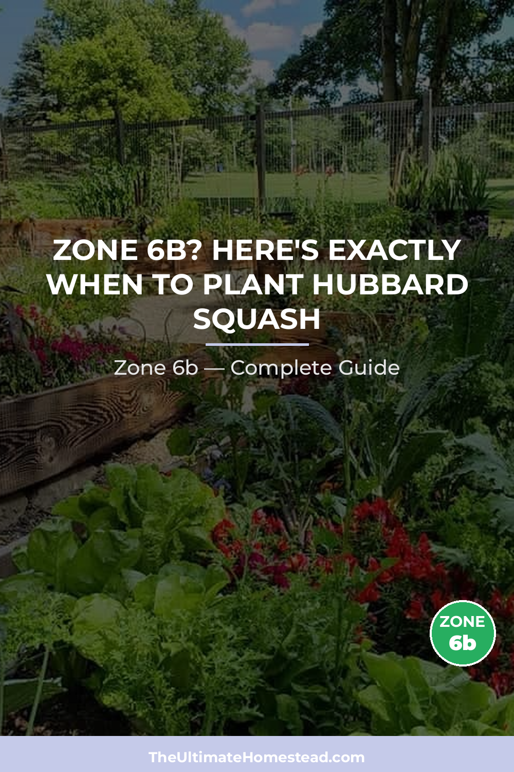 When to Plant Hubbard Squash in Zone 6b