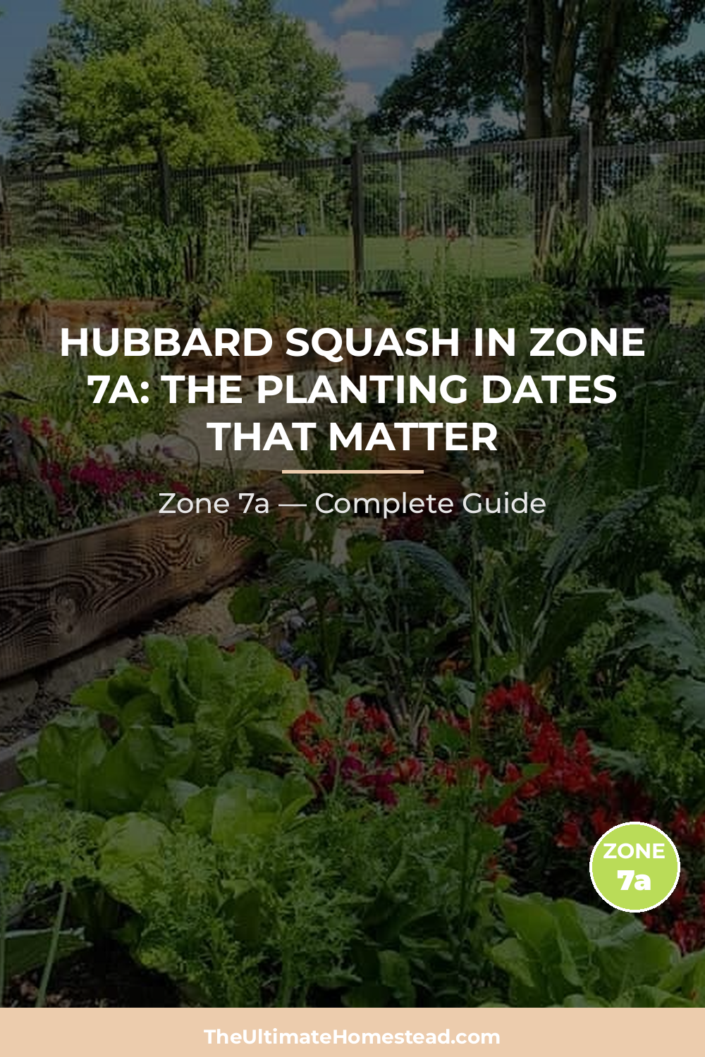 When to Plant Hubbard Squash in Zone 7a