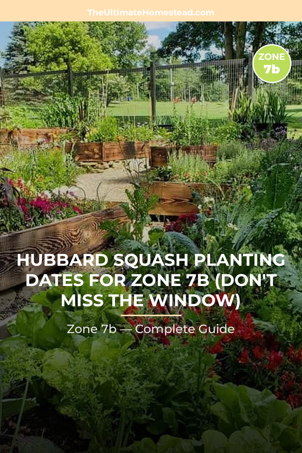 When to Plant Hubbard Squash in Zone 7b