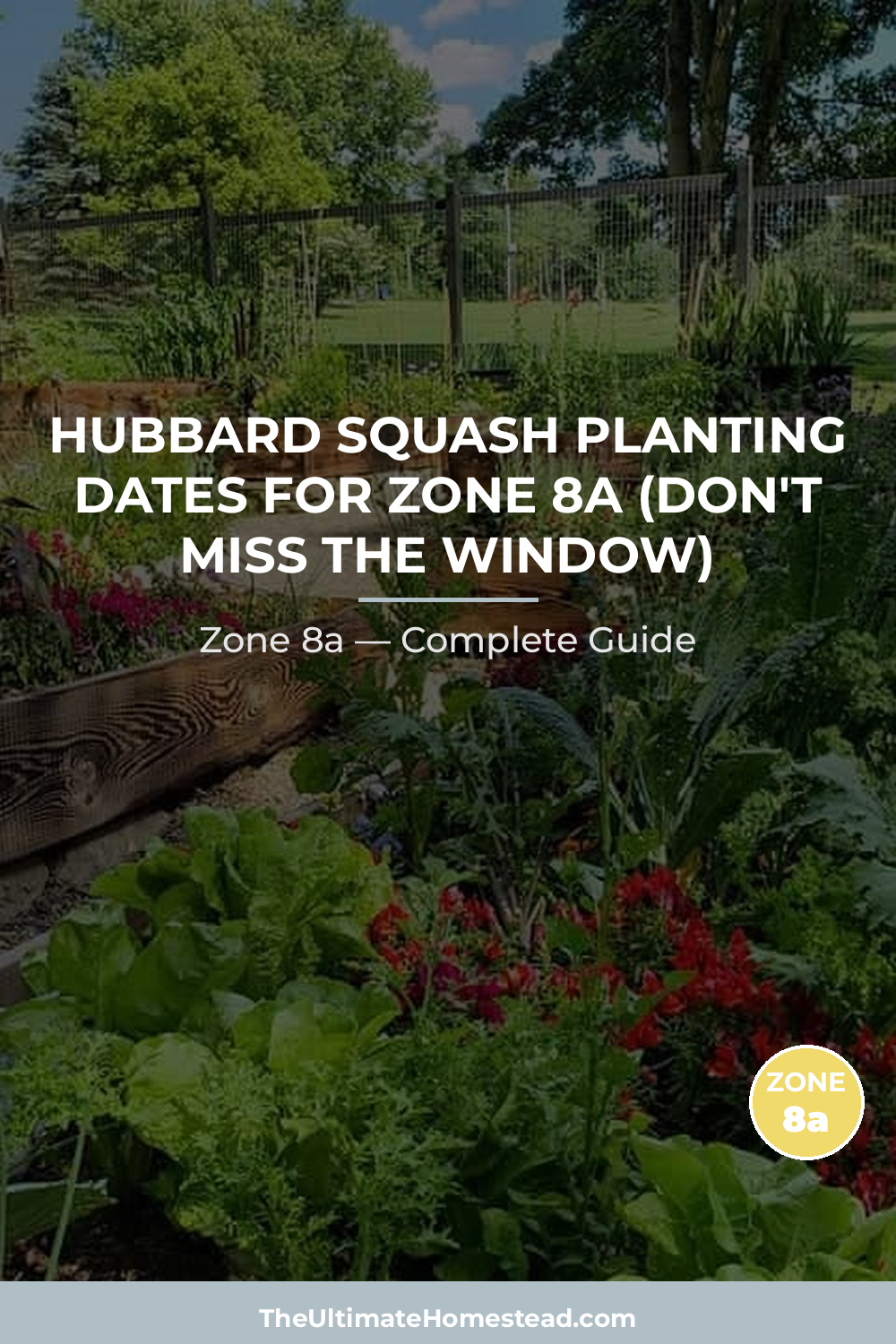When to Plant Hubbard Squash in Zone 8a