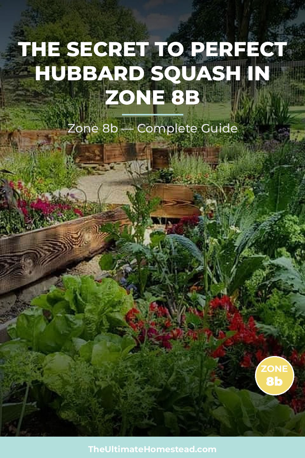 When to Plant Hubbard Squash in Zone 8b