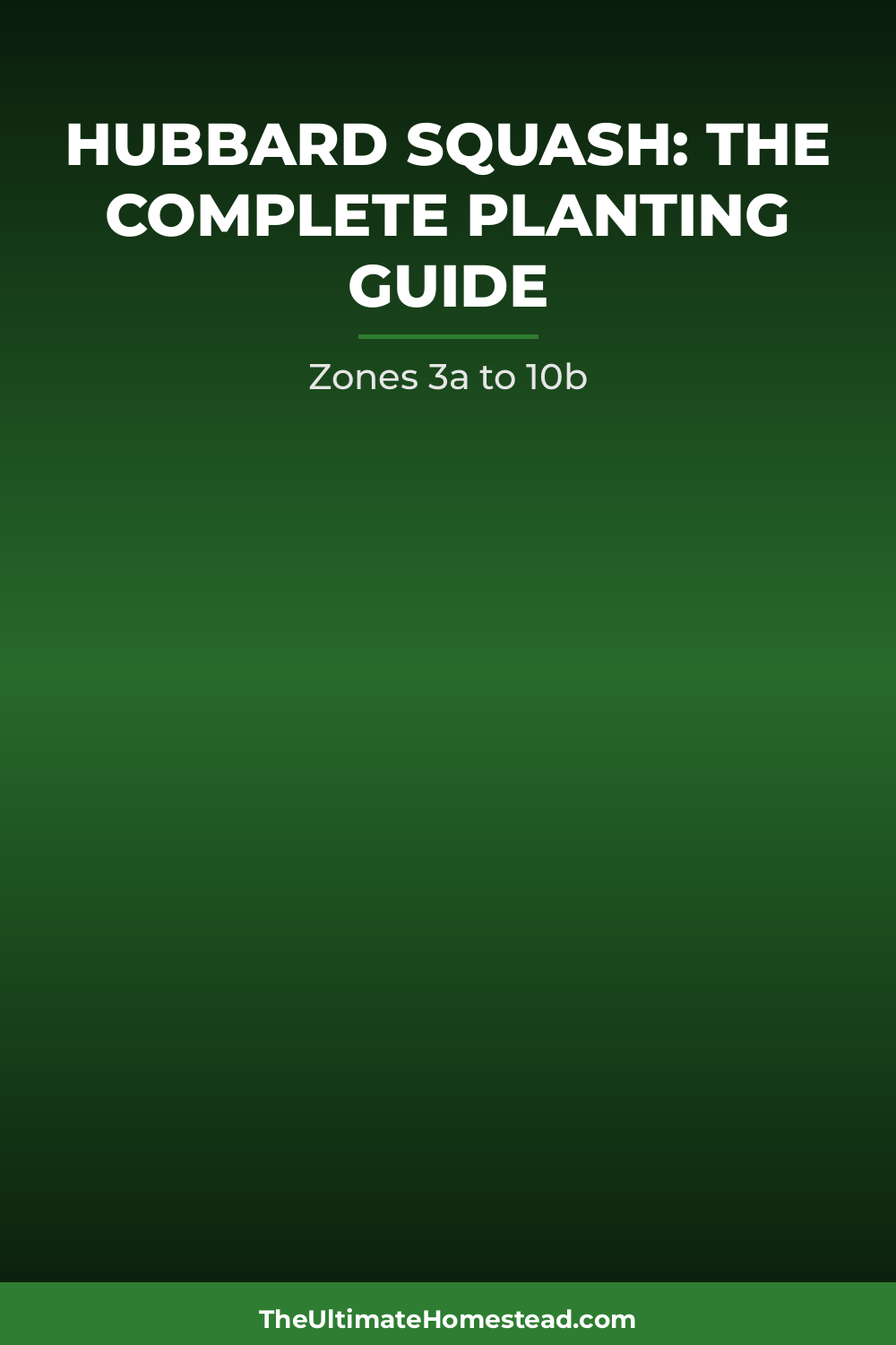 Hubbard Squash Planting Guide