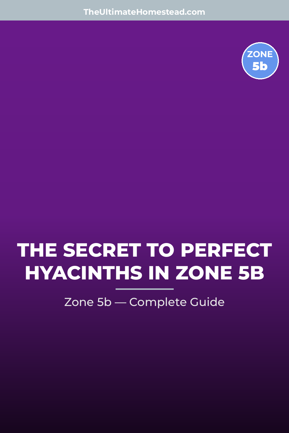When to Plant Hyacinths in Zone 5b