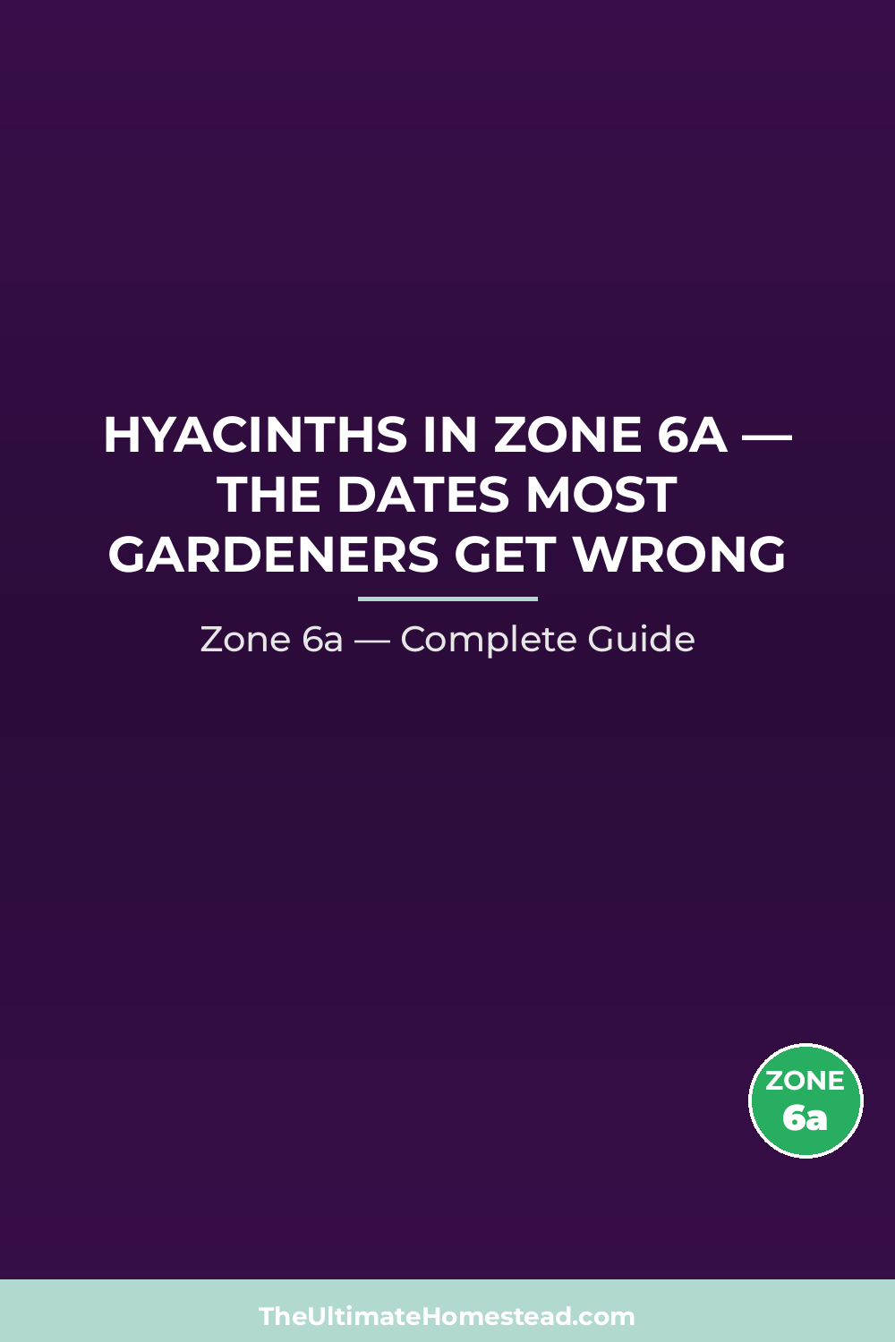 When to Plant Hyacinths in Zone 6a
