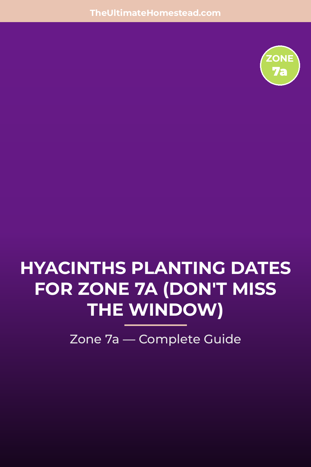 When to Plant Hyacinths in Zone 7a