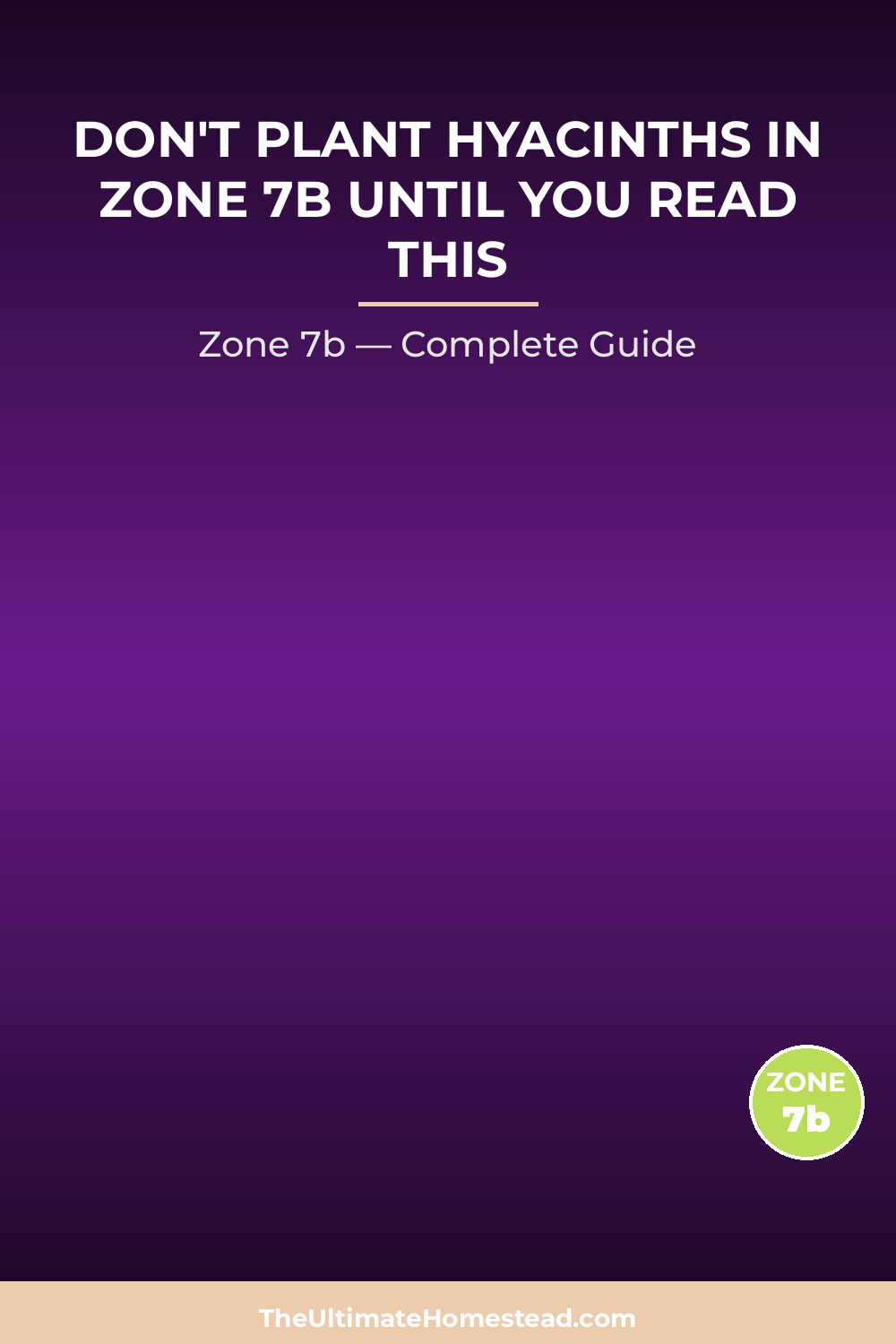 When to Plant Hyacinths in Zone 7b