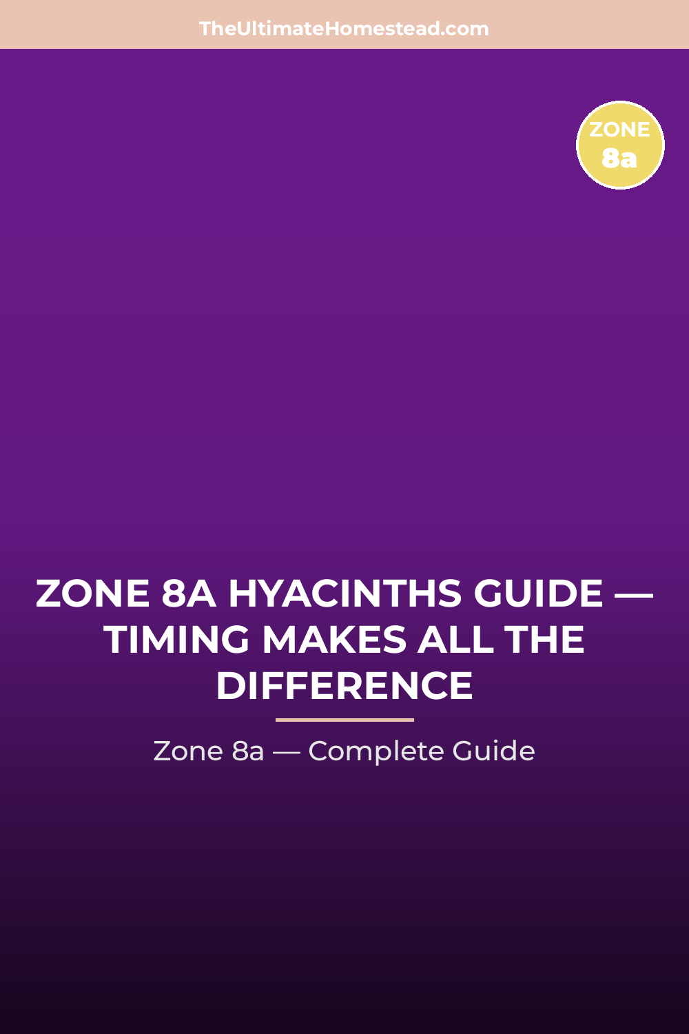 When to Plant Hyacinths in Zone 8a