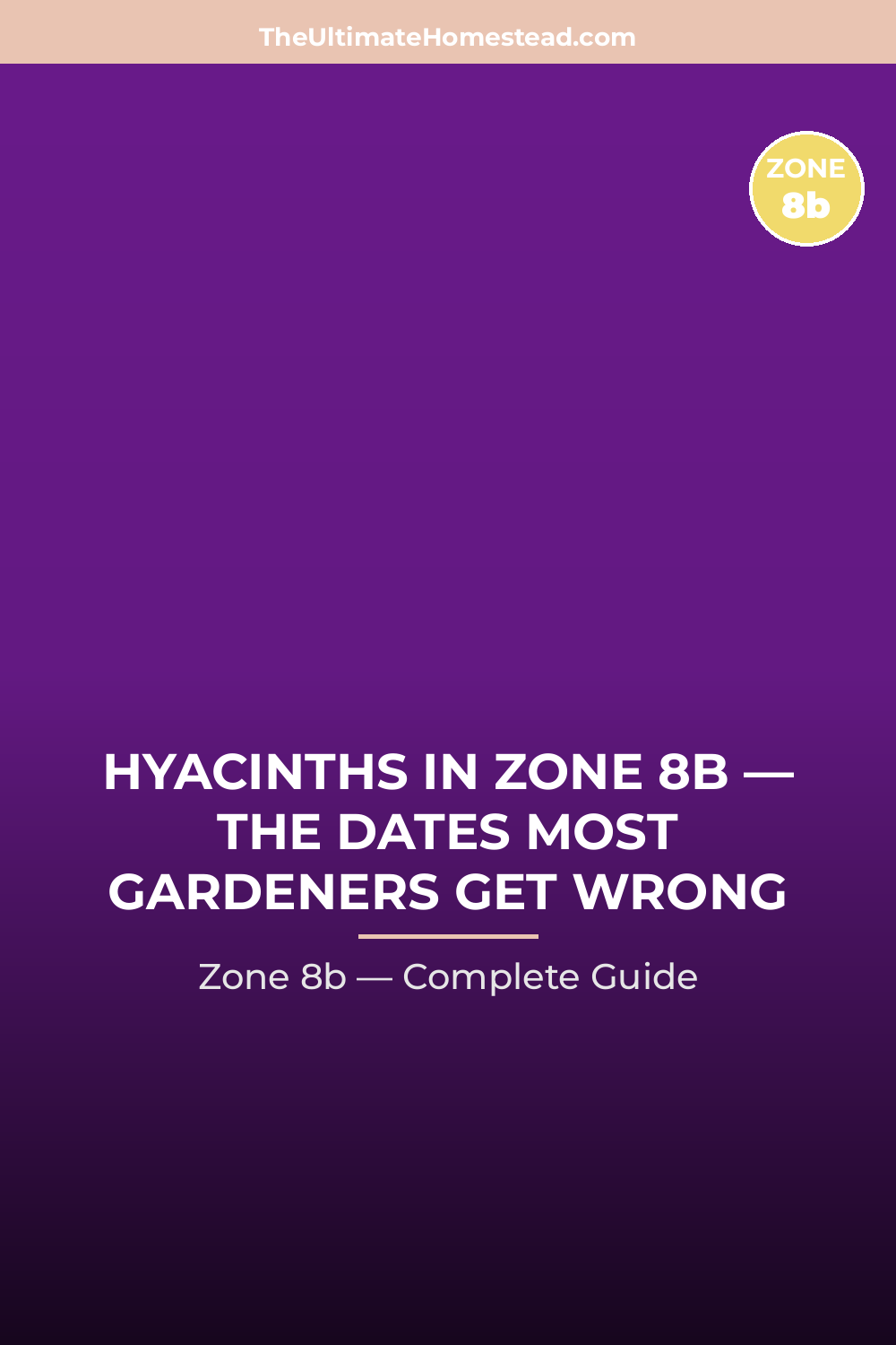 When to Plant Hyacinths in Zone 8b