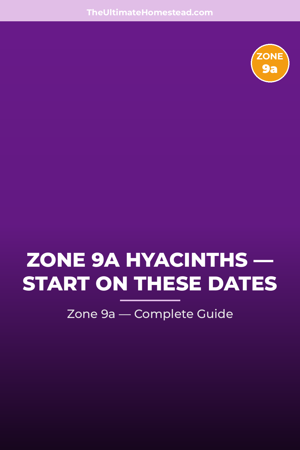 When to Plant Hyacinths in Zone 9a