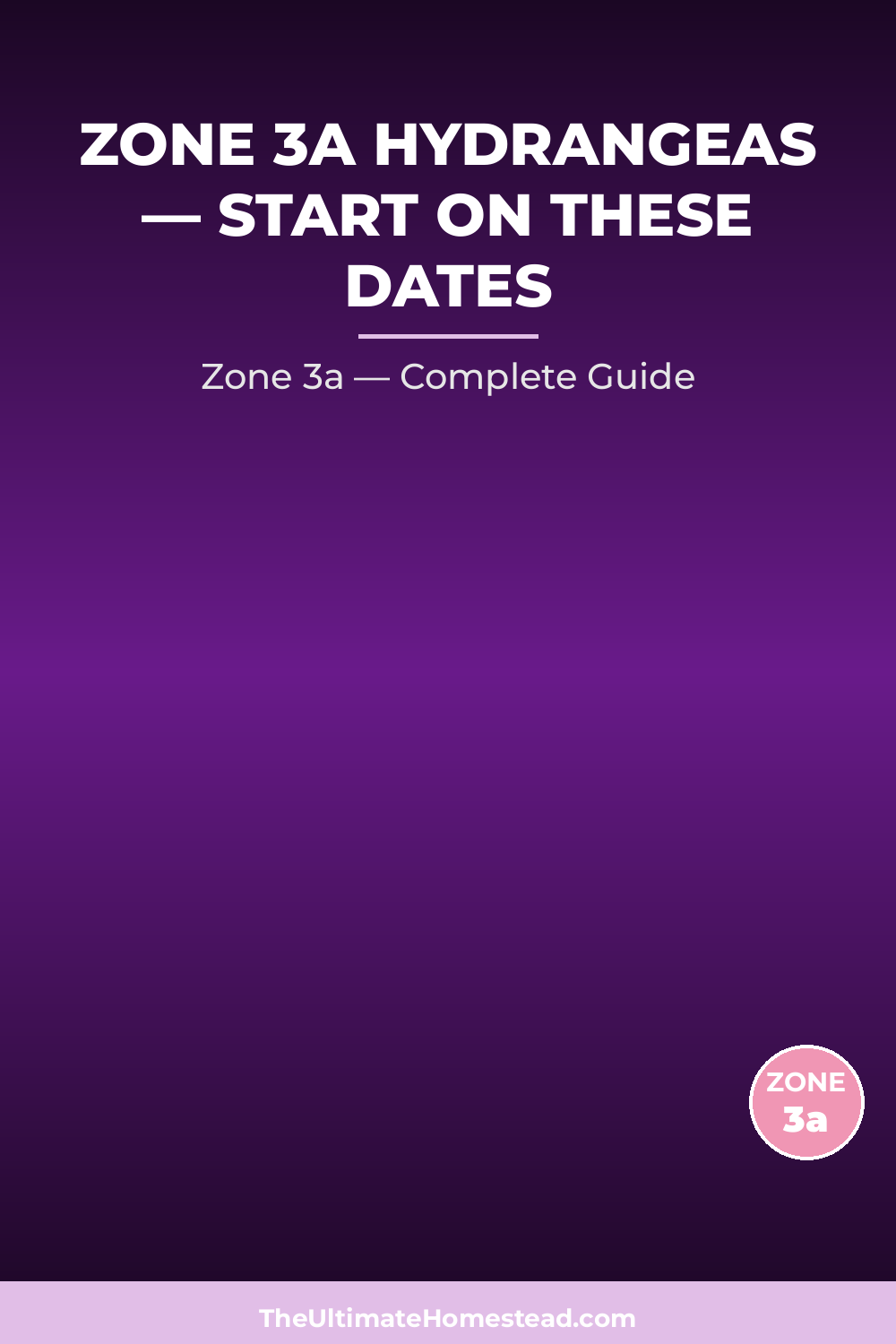 When to Plant Hydrangeas in Zone 3a
