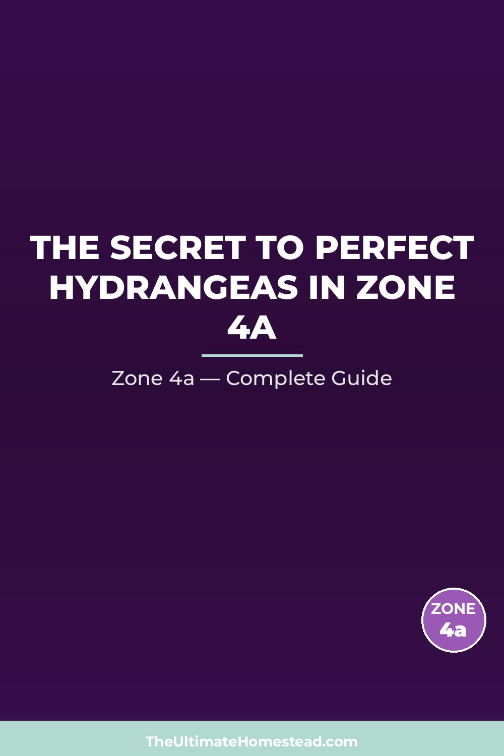 When to Plant Hydrangeas in Zone 4a