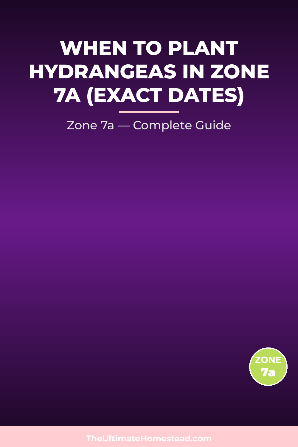 When to Plant Hydrangeas in Zone 7a