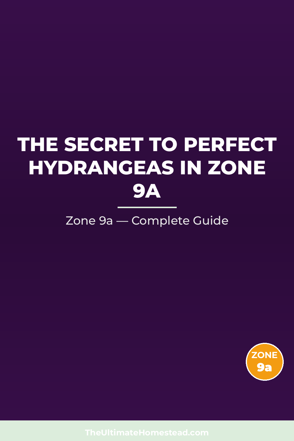 When to Plant Hydrangeas in Zone 9a