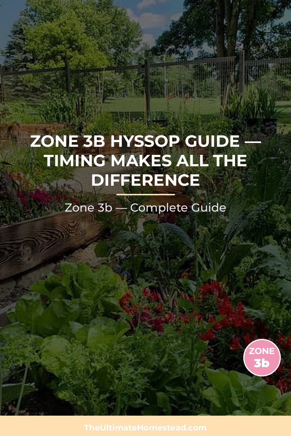 When to Plant Hyssop in Zone 3b