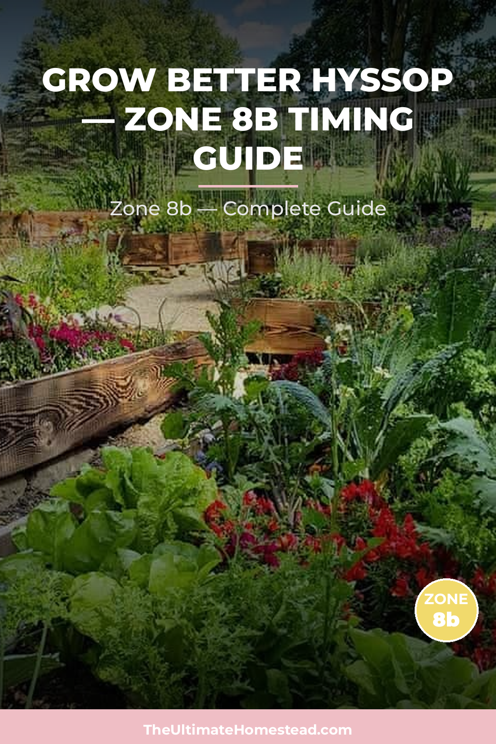 When to Plant Hyssop in Zone 8b